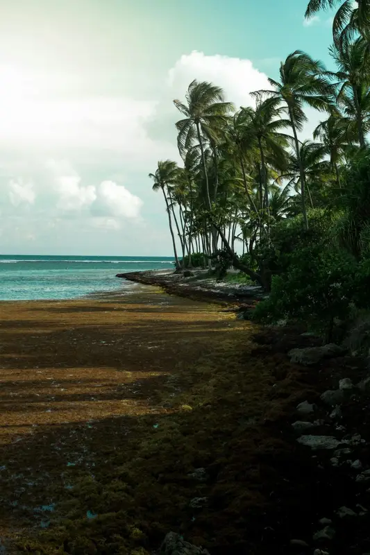 Budget Caraïbes
